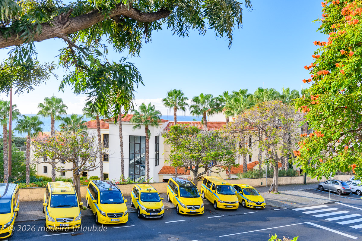 Taxi Stand in Funchal Lido
